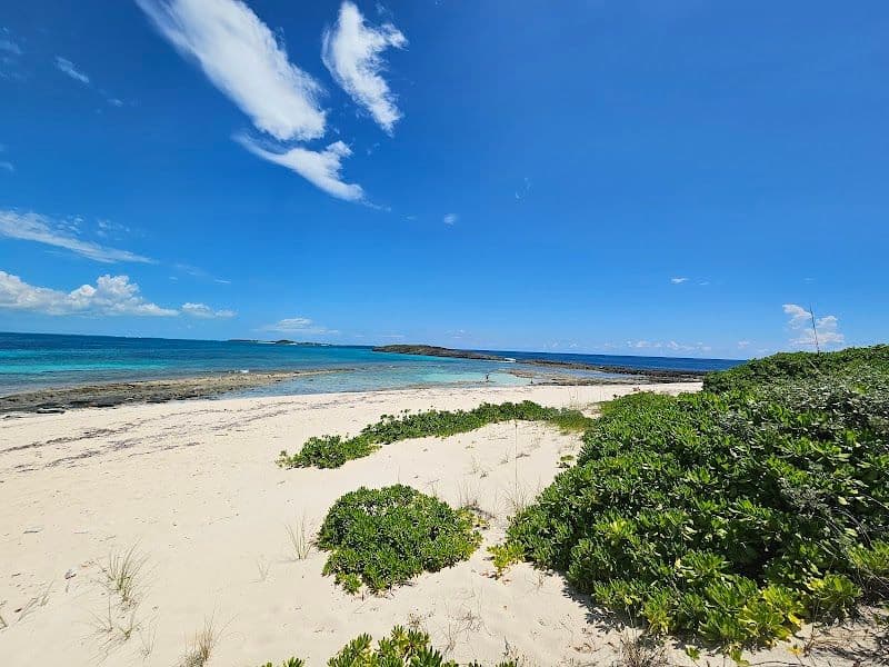 Pelican Cays Land and Sea Park - Hope Town - The Bahamas - Booked ai