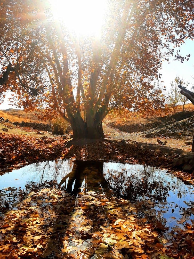 Top Hidden Gems to Explore in Sabzevar