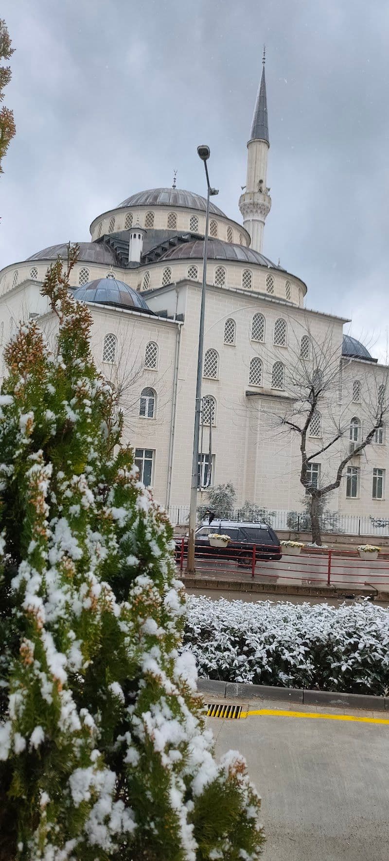 Ultimate Yalova Travel Guide