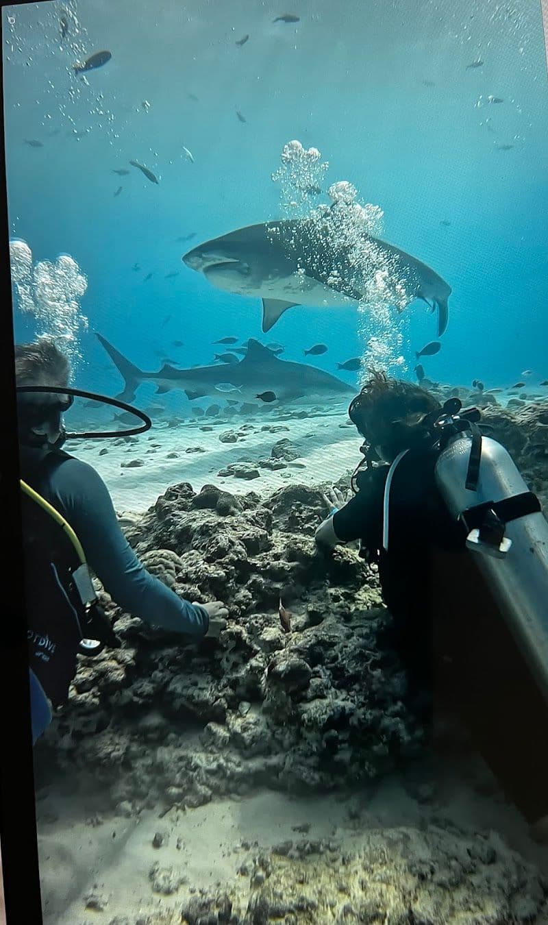 Discovering Fuvahmulah's Hidden Treasures