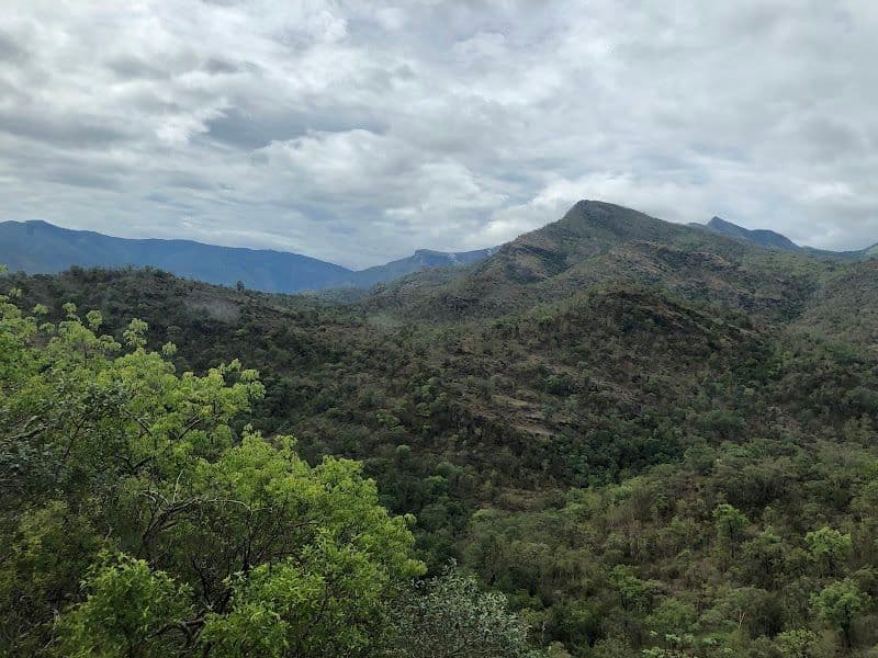 Chinnar Wildlife Sanctuary - Munnar - India - Booked ai