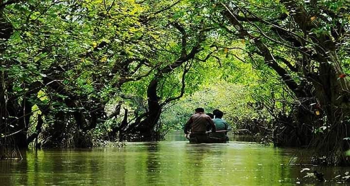 Explore Sylhet: Top Attractions and Activities