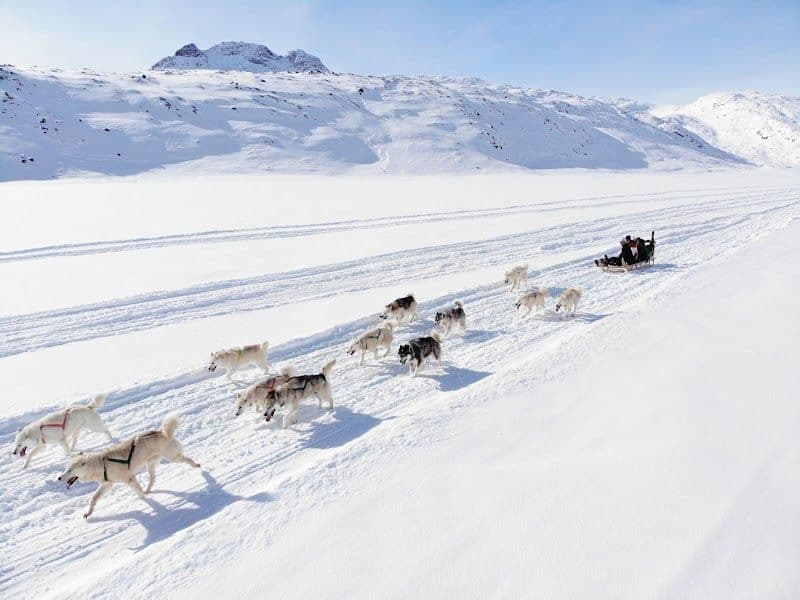 Tasiilaq Tours - Tasiilaq - Greenland - Booked ai