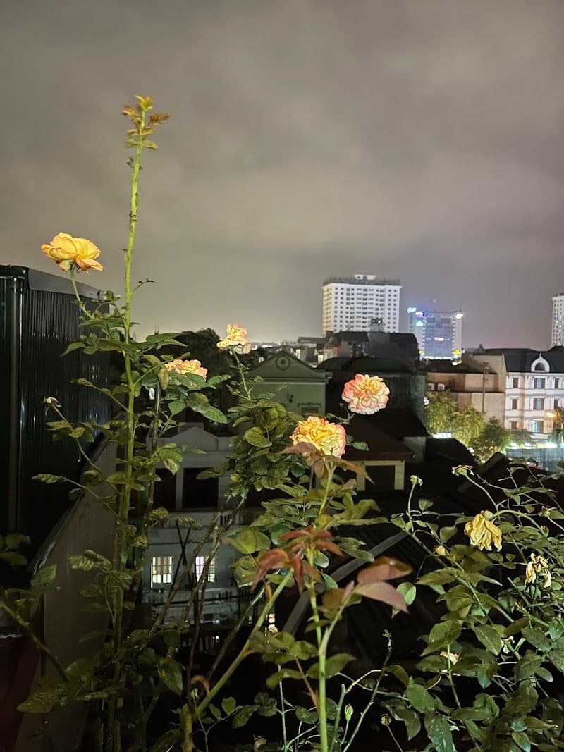 When to Visit Bac Ninh: Best Seasons and Tips