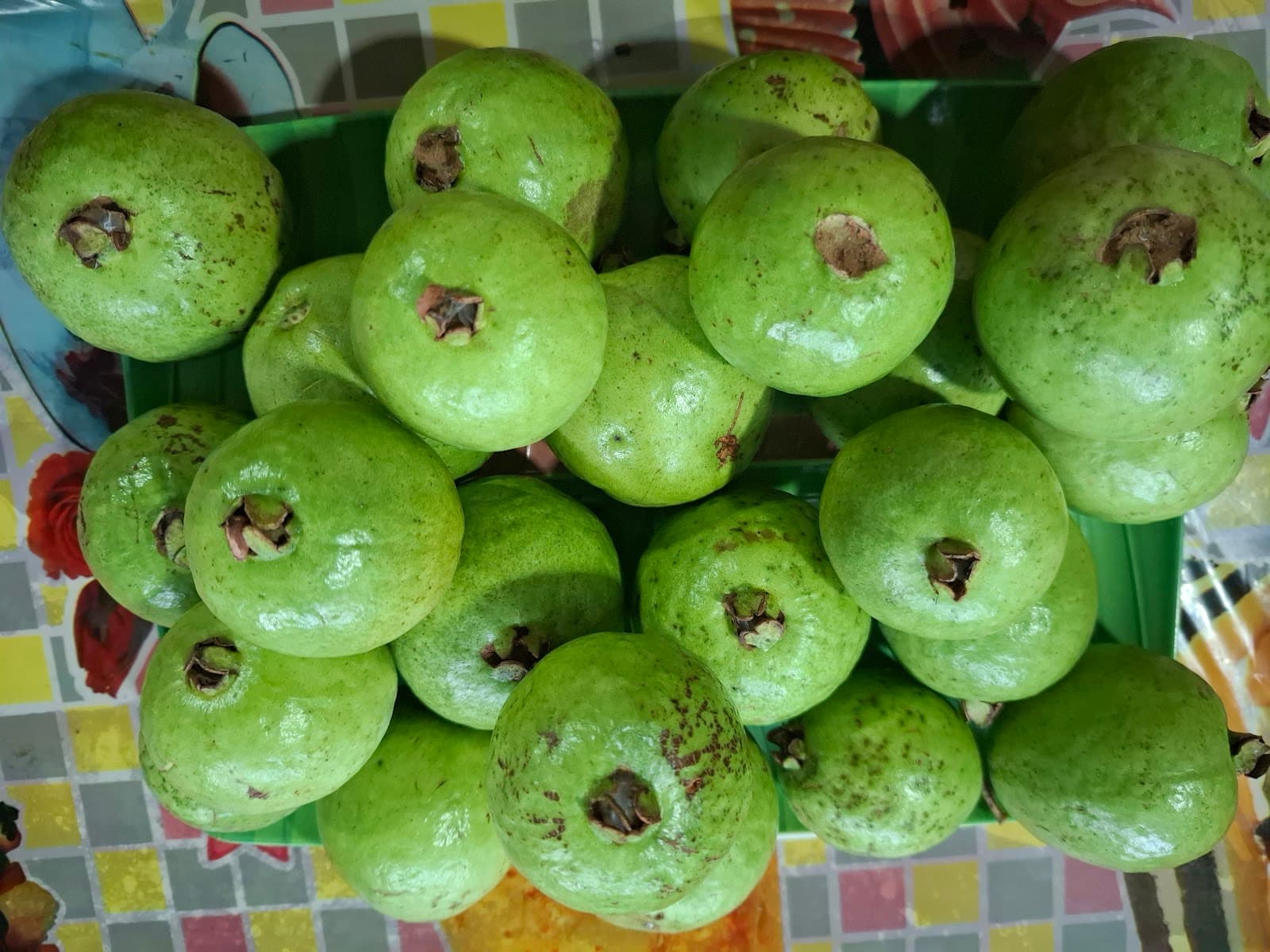 Victoria Guest House