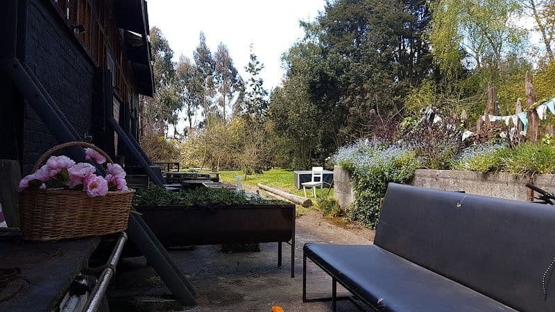 Ruta del Asador - Osorno - Chile - Booked ai