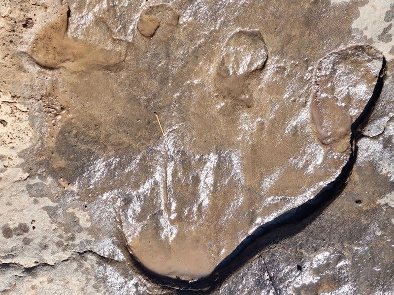 Leribe Dinosaur Footprints - Leribe - Lesotho - Booked ai