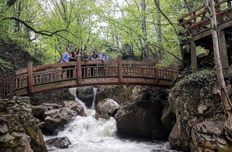 Samandere Waterfall - Düzce - Türkiye - Booked ai