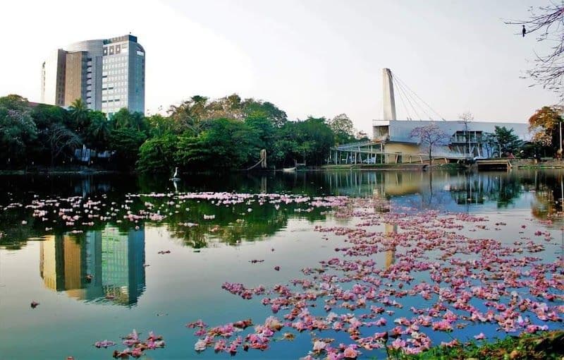 Top Attractions and Activities in Villahermosa