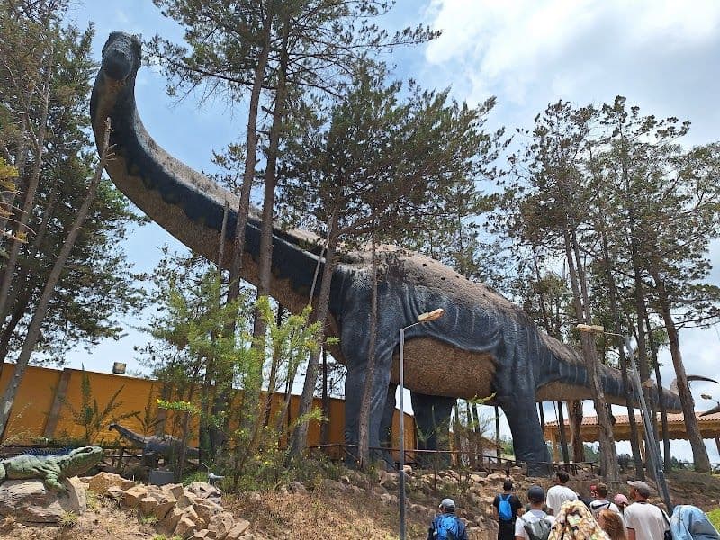 Dinosaur footprints Cal Orck'o - Sucre - Bolivia - Booked ai