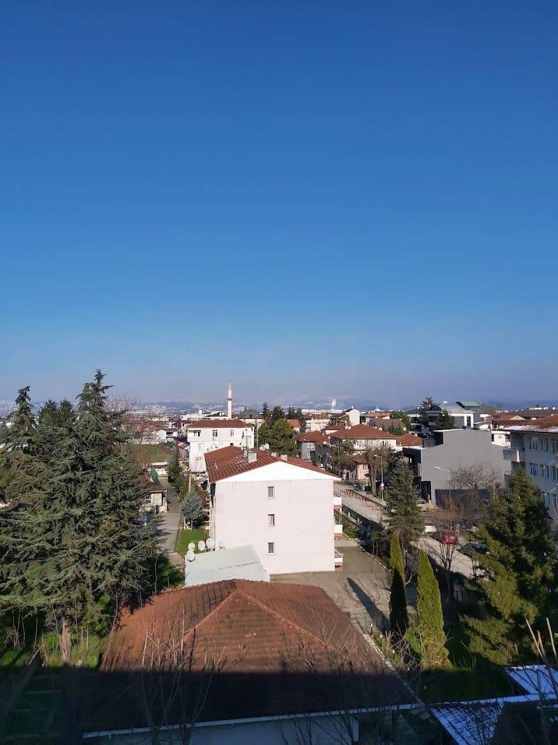 Exploring Duzce: Top Activities and Attractions