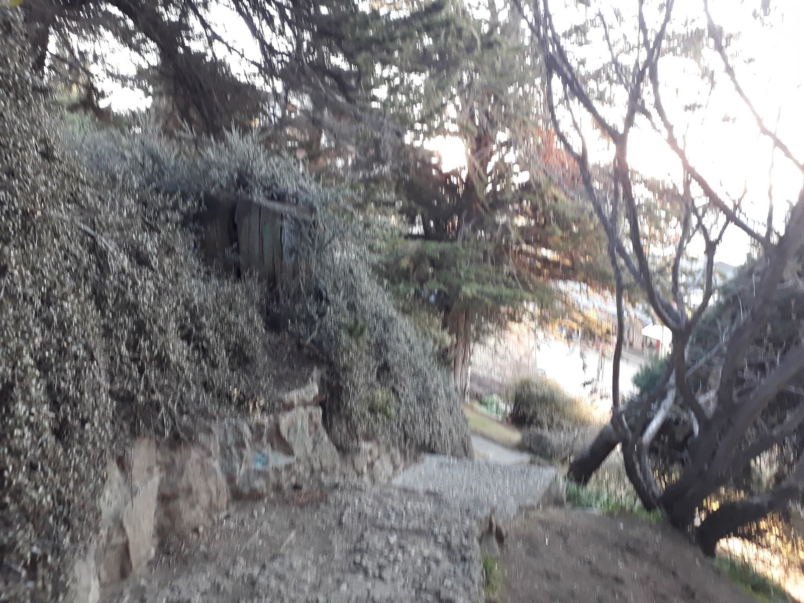 Paseo de las Colectividades