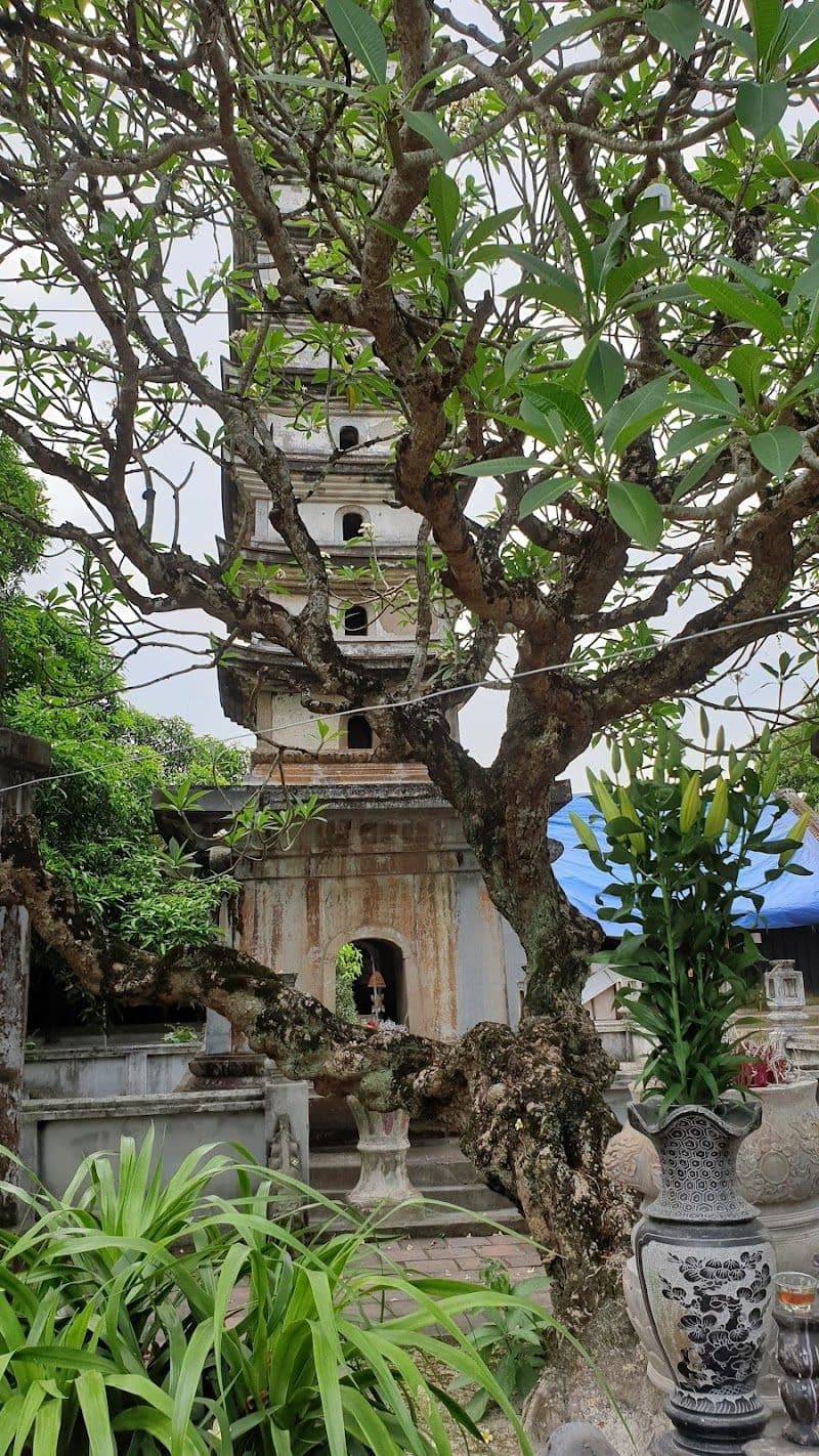 Ultimate Nam Dinh Travel Tips and Best Visiting Period