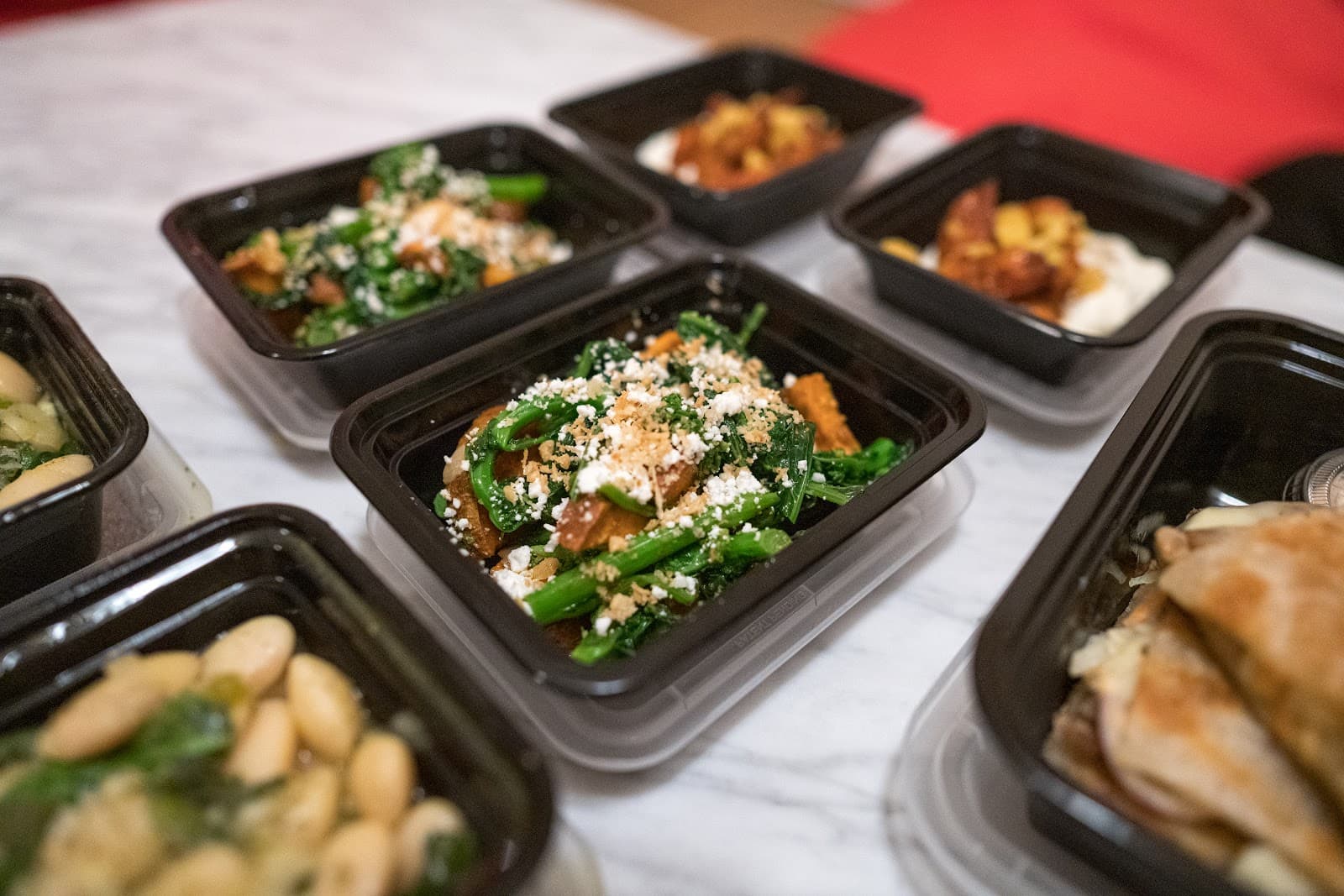 Komi - Washington DC - United States