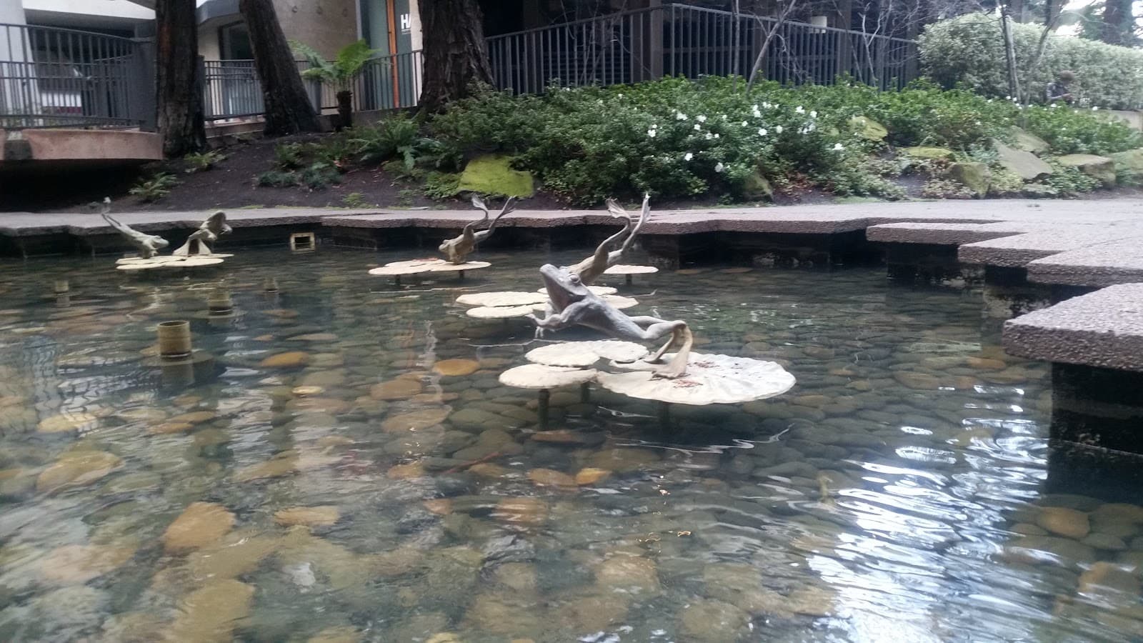 Transamerica Redwood Park - San Francisco - United States