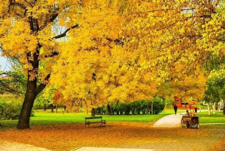 Kamberovića polje - Zenica - Bosnia and Herzegovina - Booked ai