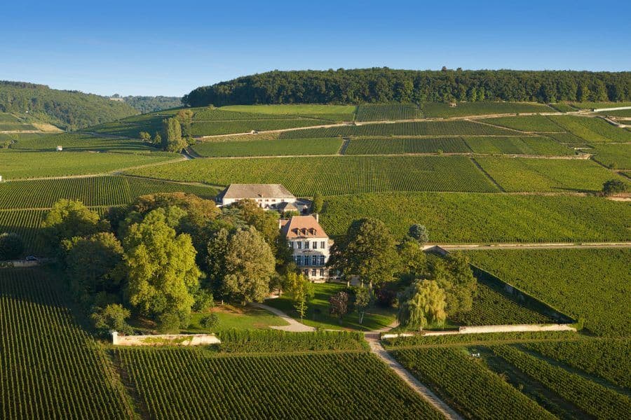 How AI Travel Can Curate Your Perfect Wine Tour in Italy