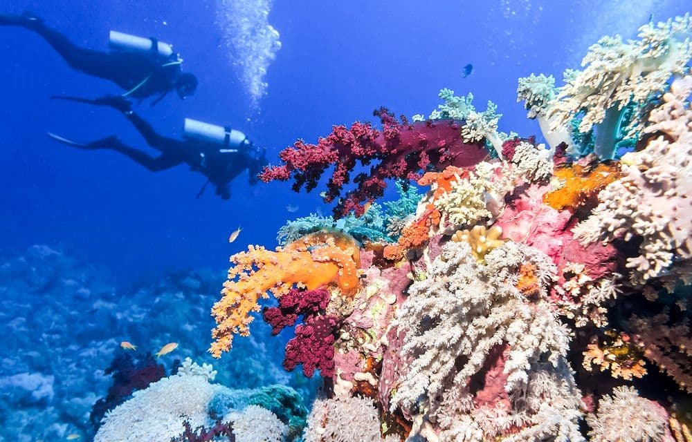 AI Travel for a Diving Adventure in the Caribbean