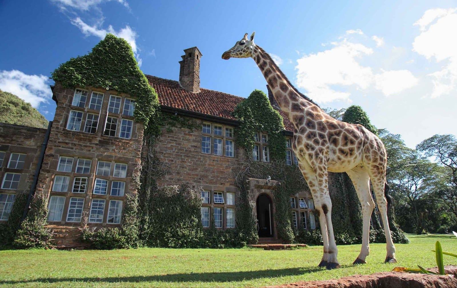 Giraffe Manor - Kenya