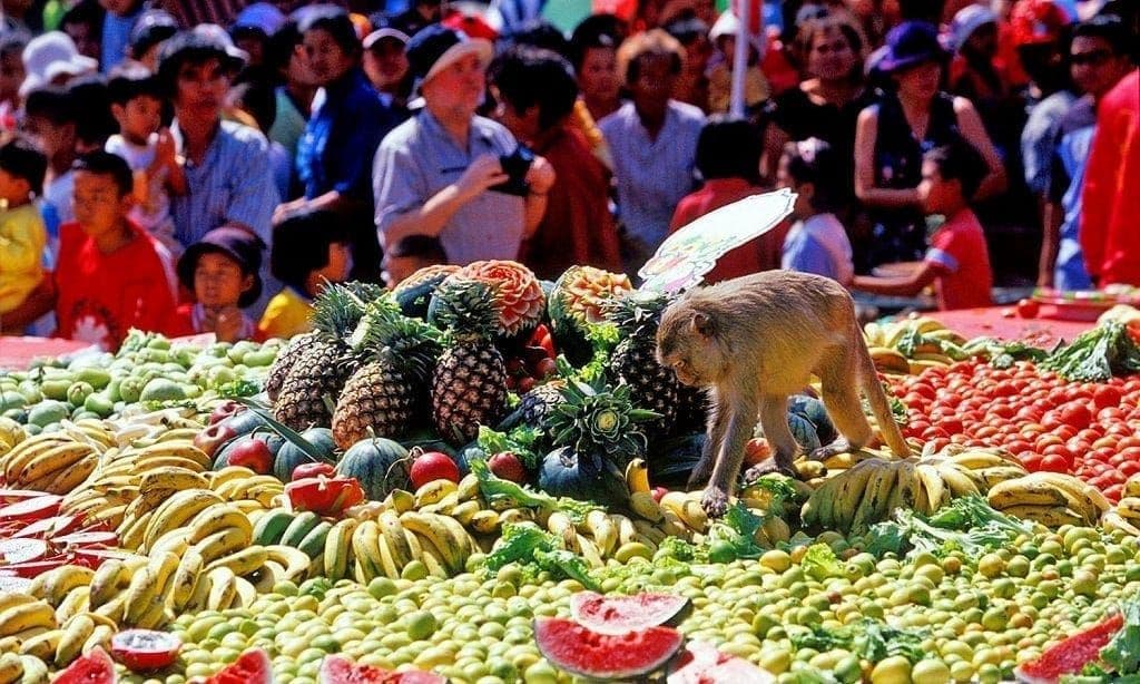Monkey, Buffet Festival - Lopburi, Thailand