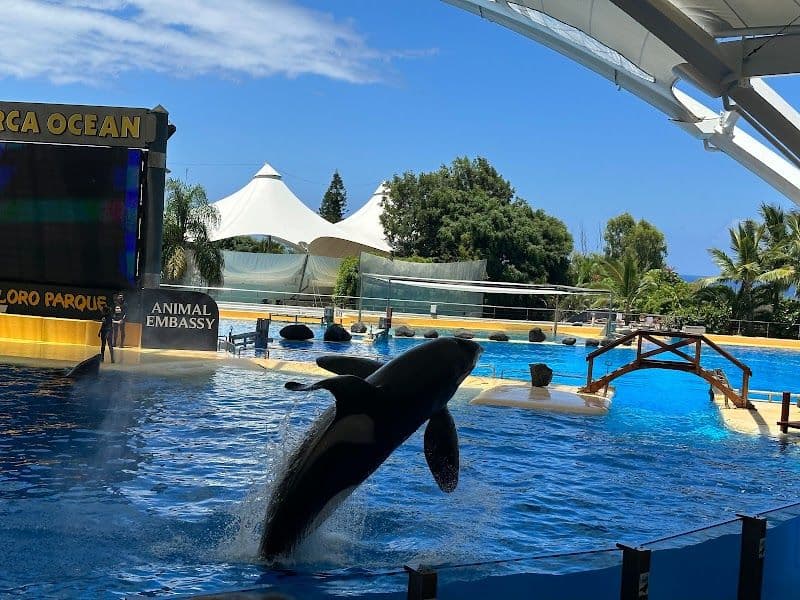 Loro Parque - Puerto de la Cruz - Spain