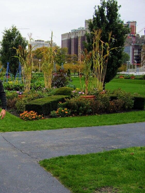 Millennium Park - Chicago - United States