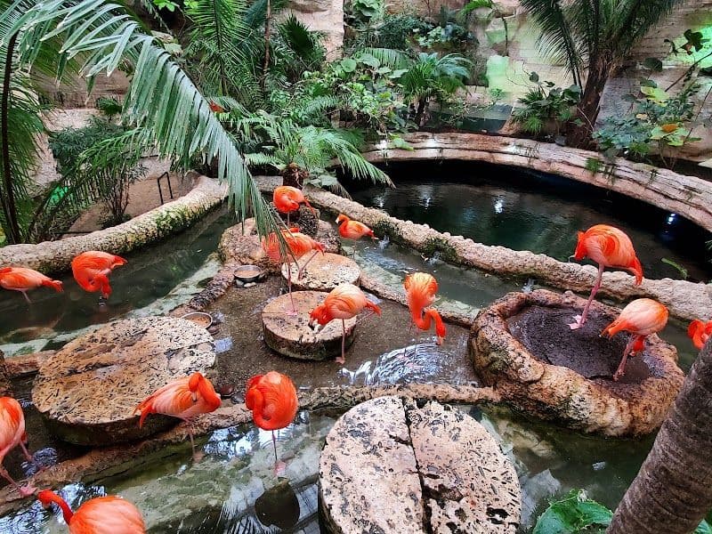 Dallas World Aquarium - Dallas - United States
