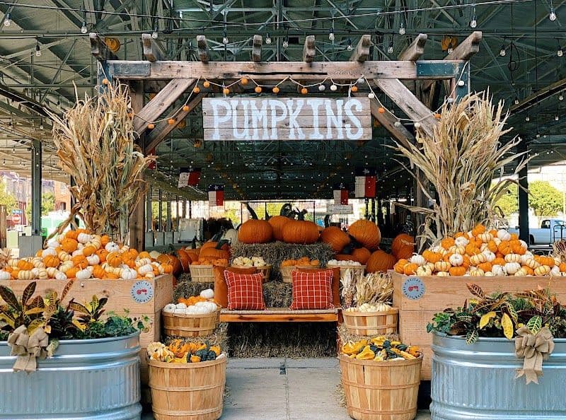 Dallas Farmers Market - Dallas - United States