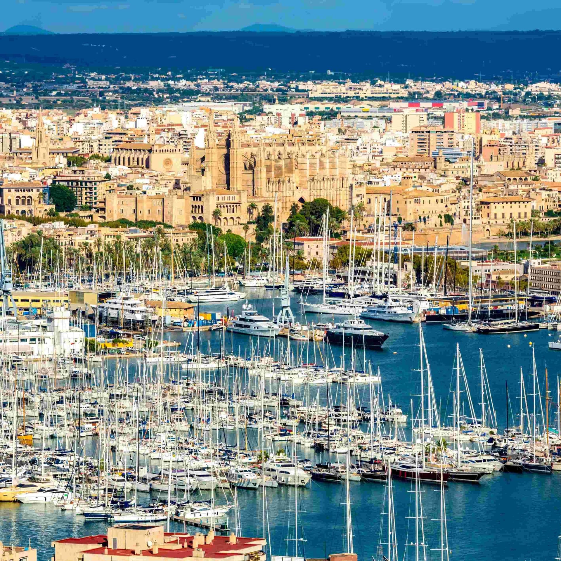 3 Days in Cannes!