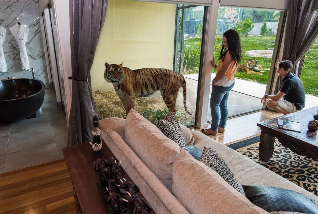 7. Jamala Wildlife Lodge - Canberra, ACT