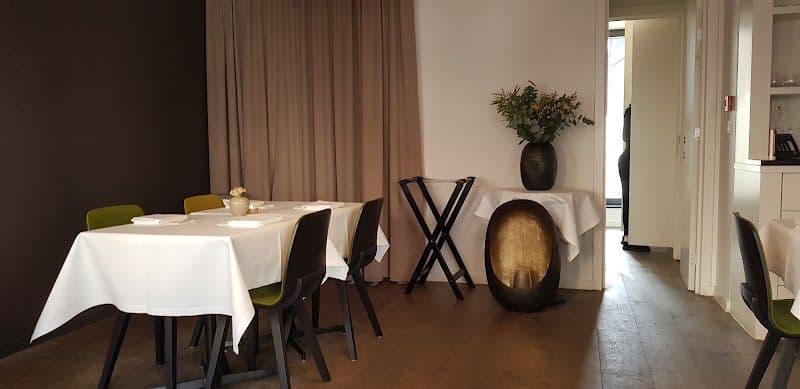 Oak - Gent - Belgium