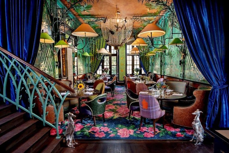 Szara Gęś - Kraków - Poland