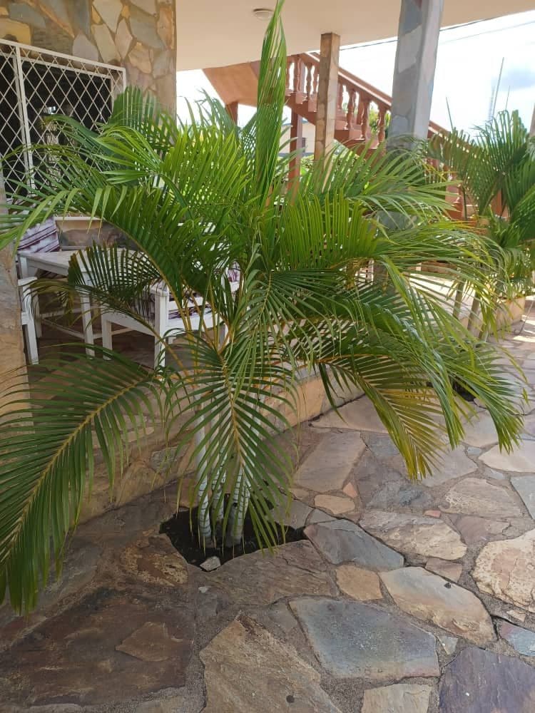 Chez Fanny - Kpalimé - Togo