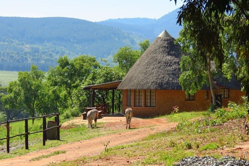 Mlilwane Wildlife Sanctuary Rest Camp - Lobamba - Eswatini