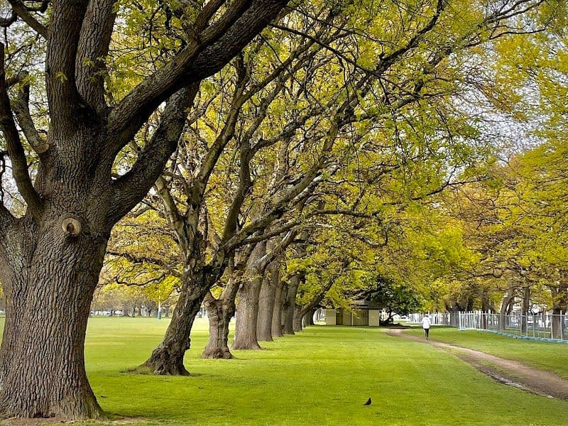 Hagley Park - Christchurch - New Zealand