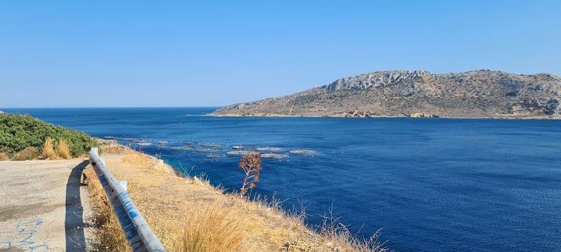Explore the National Archaeological Museum - Athina - Greece