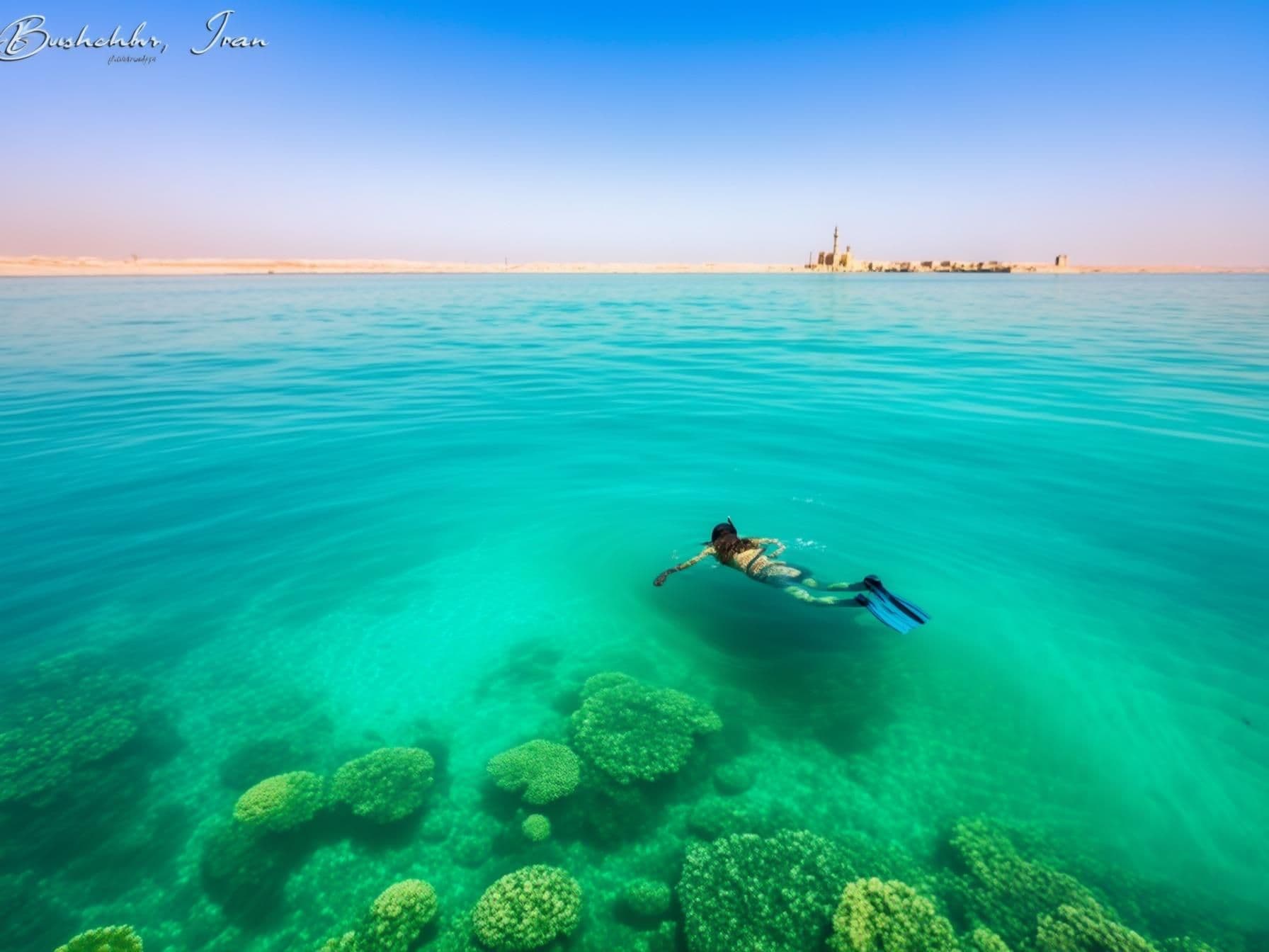 3 Days in Bushehr