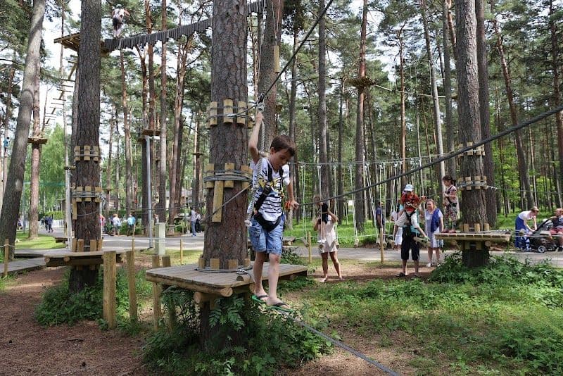 Visit Dzintari Forest Park - Jūrmala - Latvia