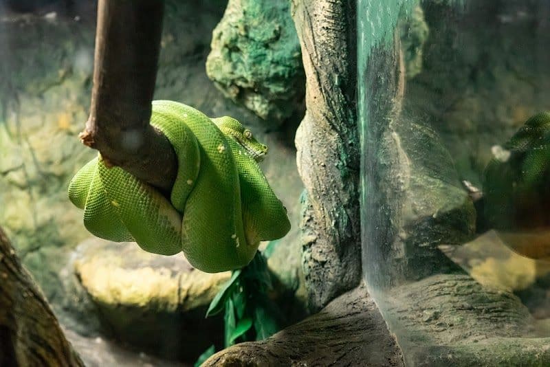 Latgale Zoo - Daugavpils - Latvia