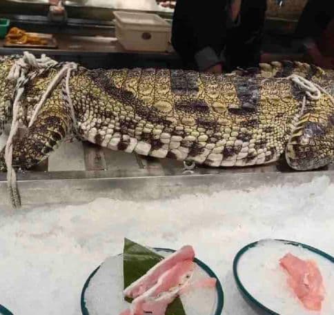 Bei Hai Te Se Seafood DaPai Dang