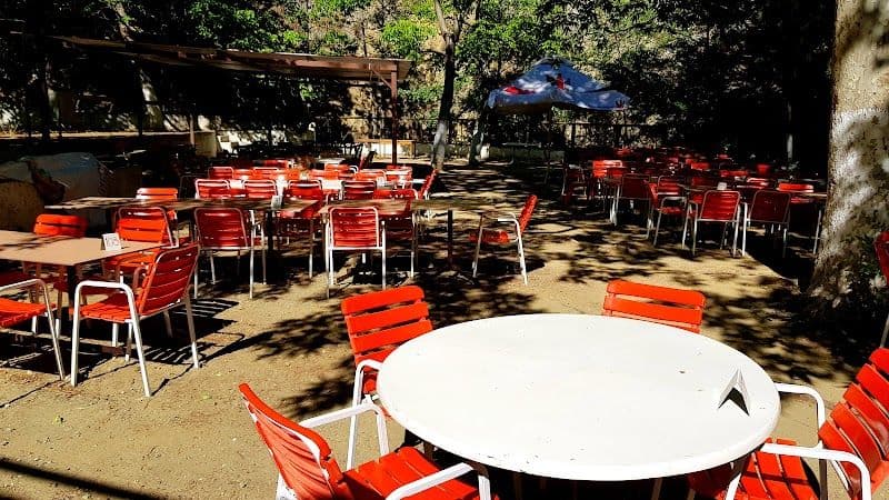 Psilo Dendro - Pano Platres - Cyprus