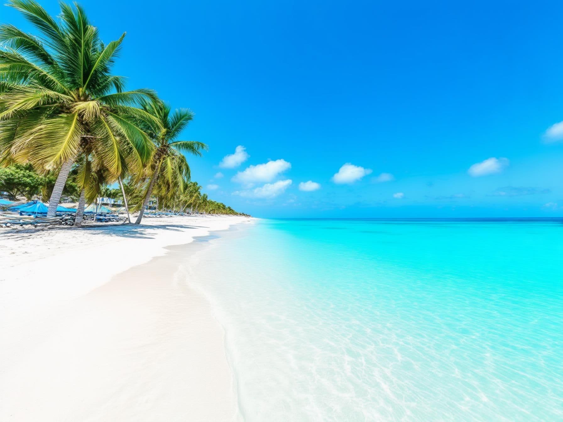Budget Travel Tips for an Amazing Stay in Oranjestad Aruba