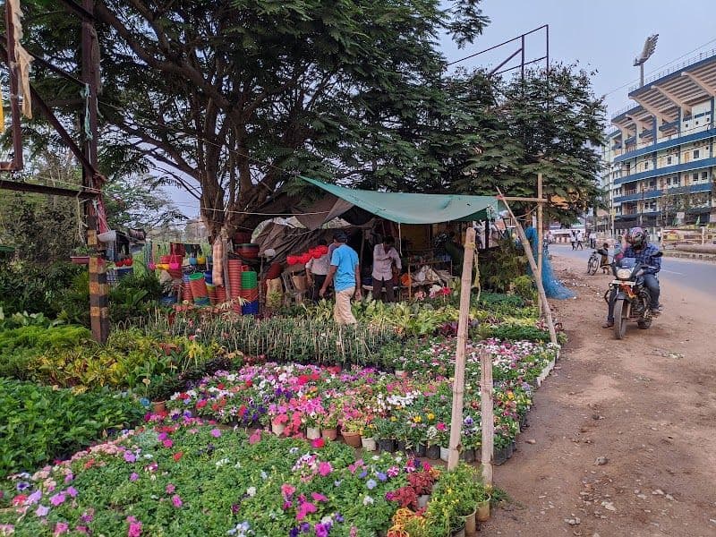 Top Attractions and Activities in Cuttack