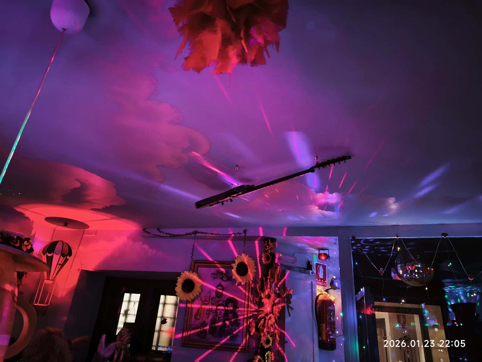 DOLORES DAME COLORES