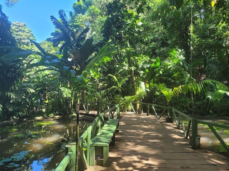 Garden of the Sleeping Giant - Nadi - Fiji - Booked ai