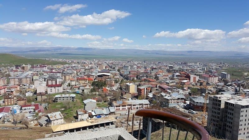 Top Hidden Gems in Mus