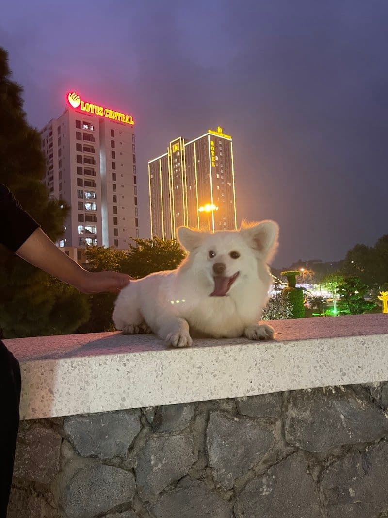 Top Hidden Gems in Bac Ninh