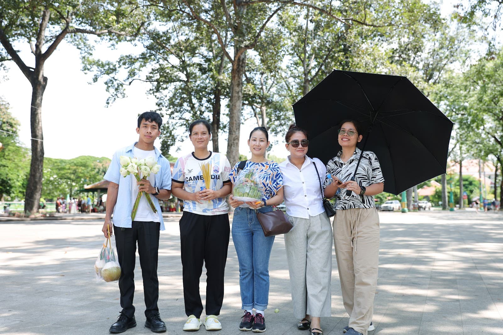 Fruit Bat Colony - Siem Reap - Cambodia