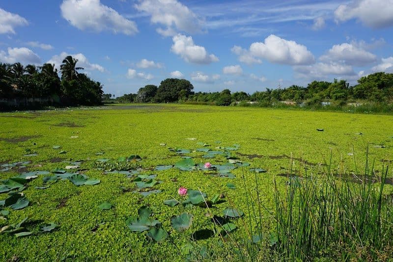 Top Tips for Visiting Nagercoil