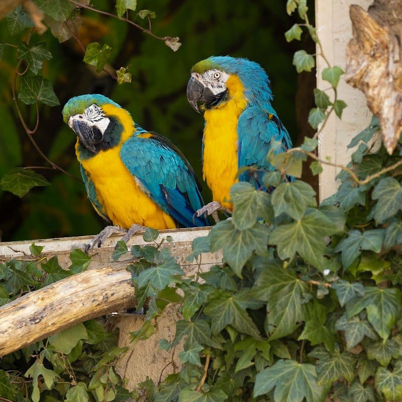 Welser Tiergarten - Wels - Austria - Booked ai